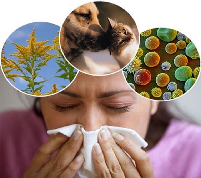 prichiny-allergicheskogo-rinita-2780155