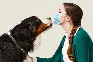 allergiya-na-sherst-4-e1448382416586-7644594