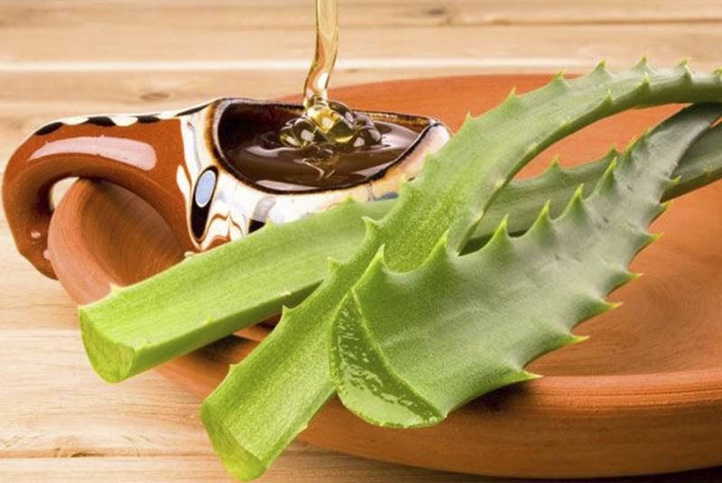 aloe-s-medom-7295394